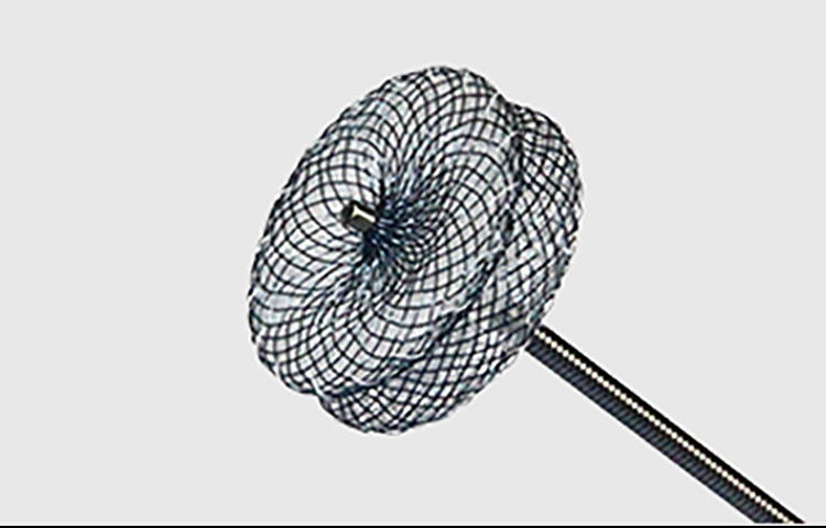 心脏间隔缺损米兰·(milan)中国医疗封堵产品介绍