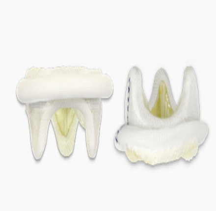 佰迈思® 人工生物心脏瓣膜(猪主动脉瓣)